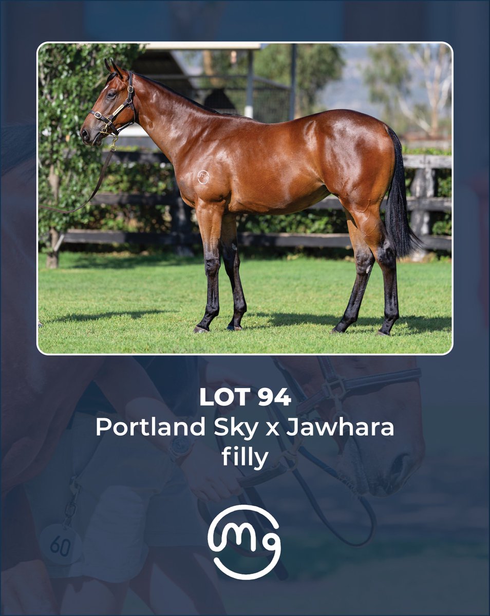 Mullaglass Stud tweet media