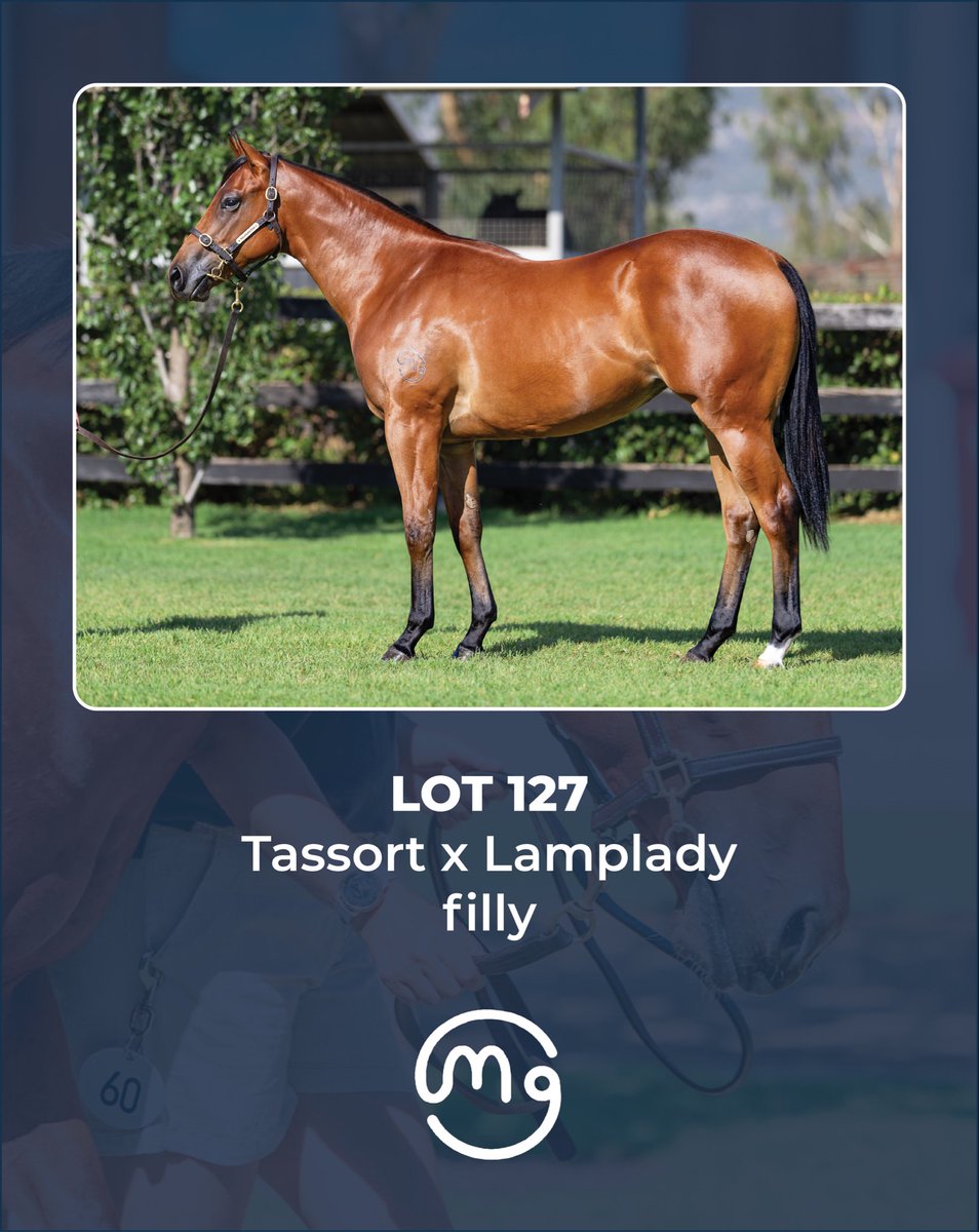 Mullaglass Stud tweet media