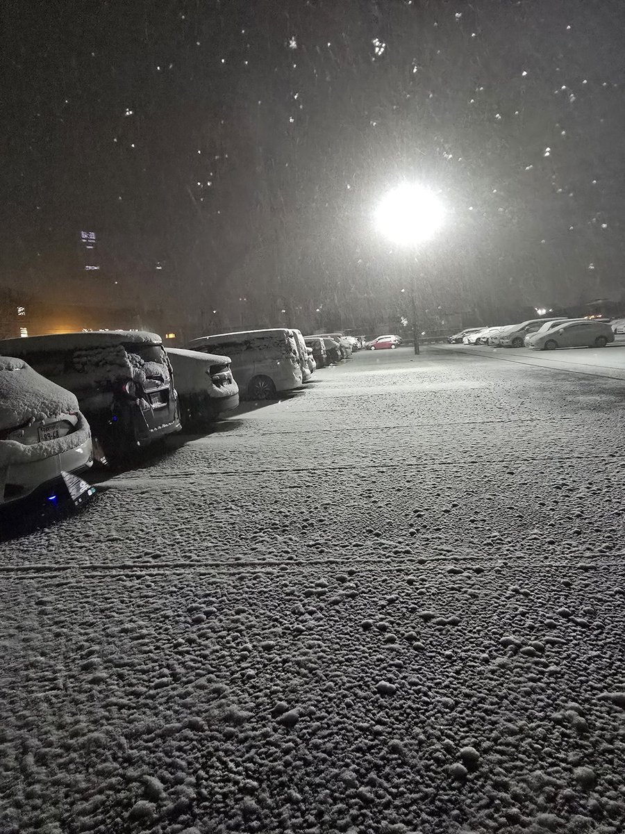 ハス山さん tweet media