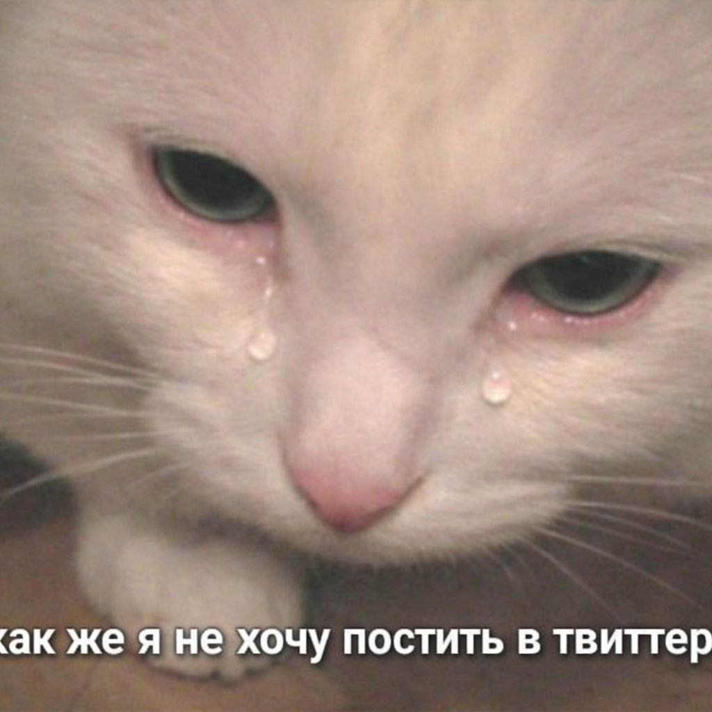 мила и менты tweet media