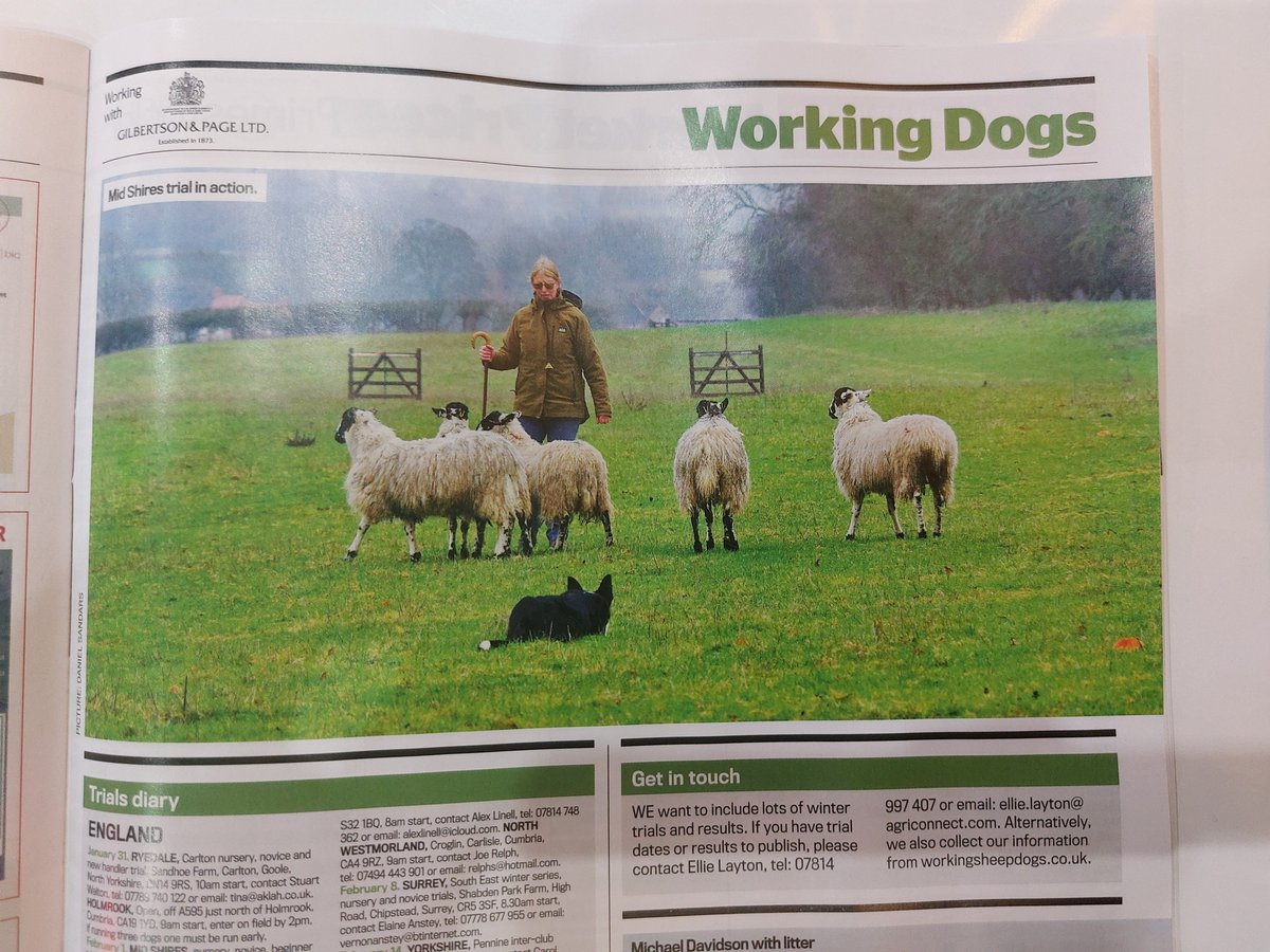 SandarsDTM's tweet photo. Photography is a hobby. I am delighted to have been approached for images to headline the Working Dogs section of the @FarmersGuardian for two weeks running. #ruralphotography #learningthroughplay #photography  @humilevskyi @TRO11O1O1O https://t.co/e4uBgamsiG