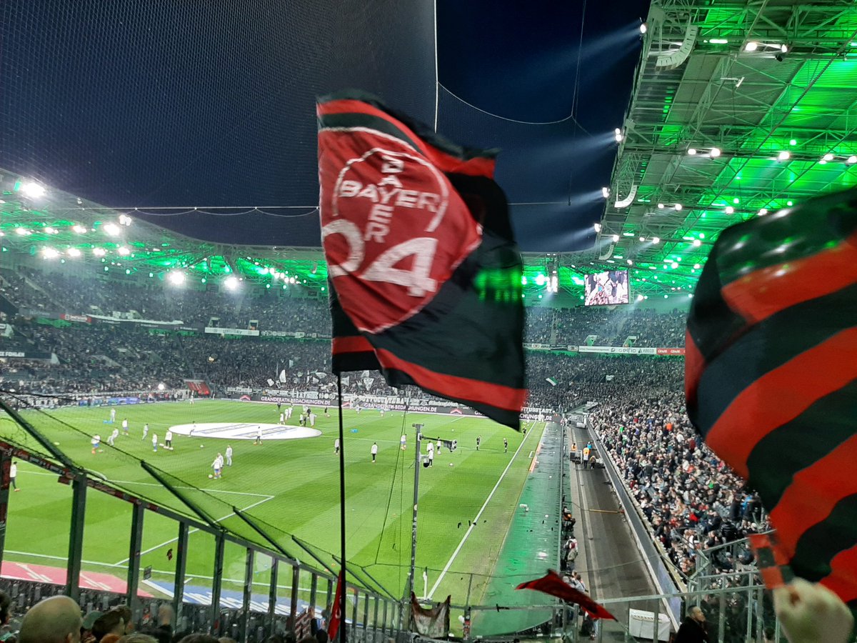 pala_25_cios tweet media