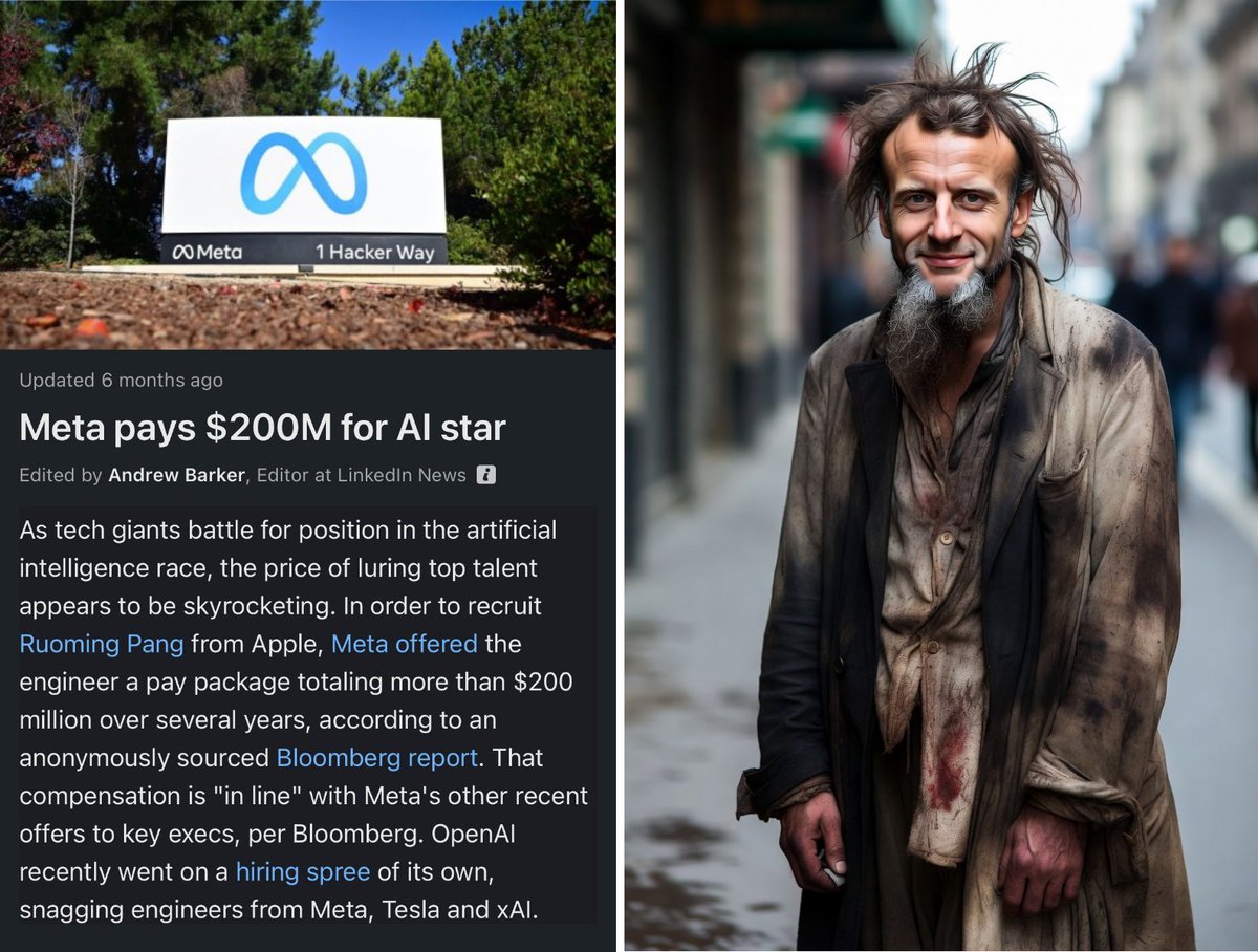 Turbo Chicken tweet media