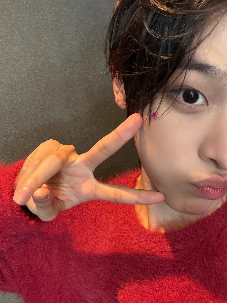 260207 🐿️/🐈‍⬛ 🫧 update 