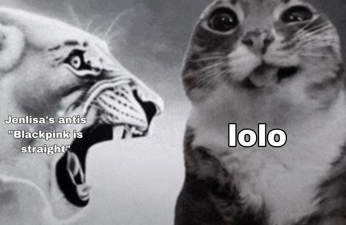 lolo ⚢ tweet media