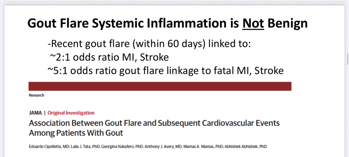 Nouf Al hemmadi tweet media