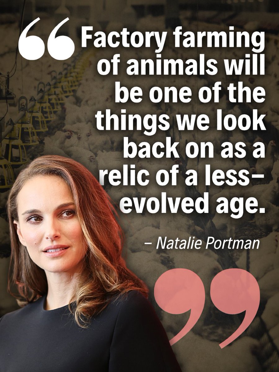 Vegan FTA tweet media