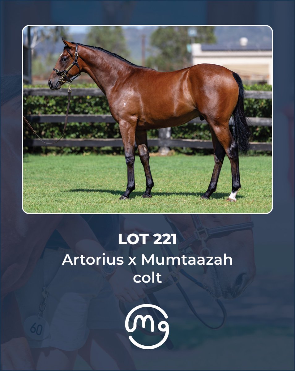 Mullaglass Stud tweet media