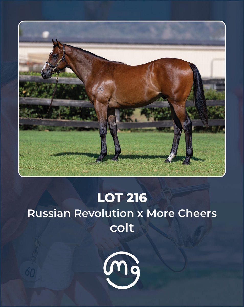 Mullaglass Stud tweet media