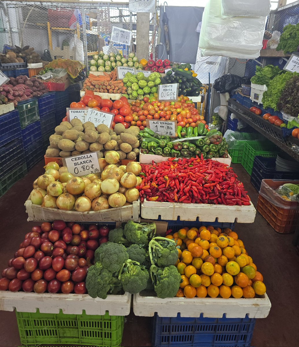 MERCA Panamá es lo máximo 🤩