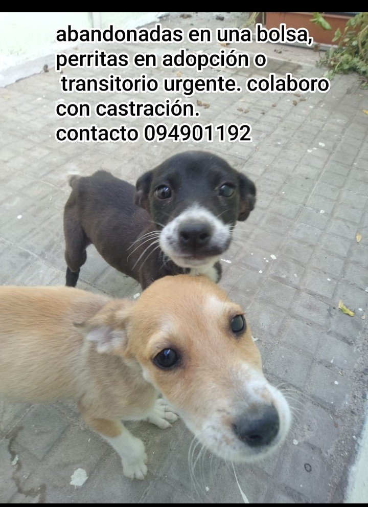 becambeiro's tweet photo. Por favor un rt. ❤️ https://t.co/5OHgcscx7p