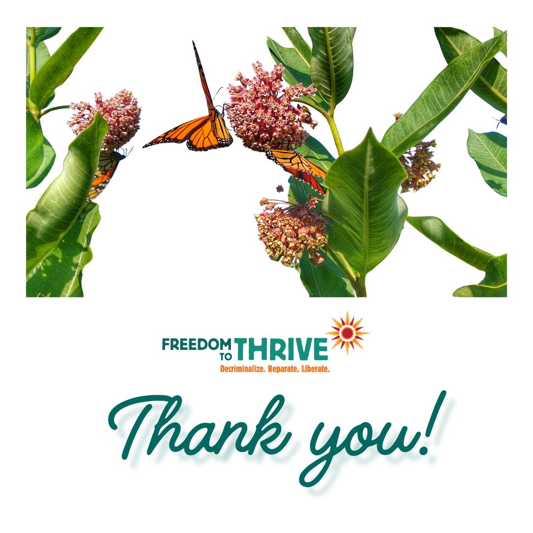 Freedom to Thrive tweet media