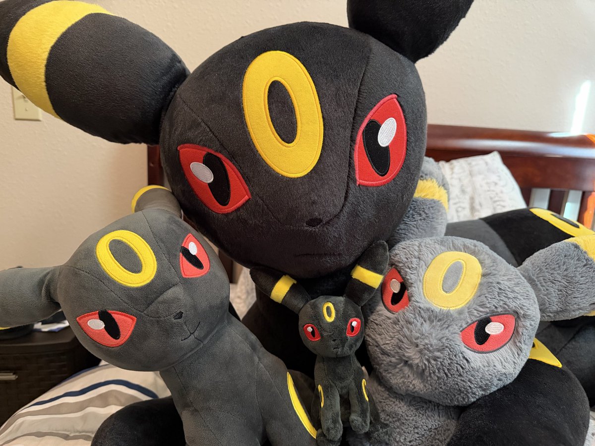 おはようございます☀ 外国等身大ブラッキーを待つ事261日目です