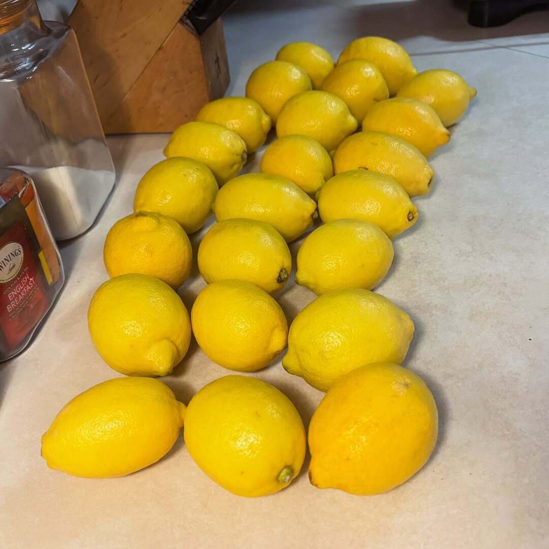 Michael Gatti (@megatti.bsky.social) tweet media