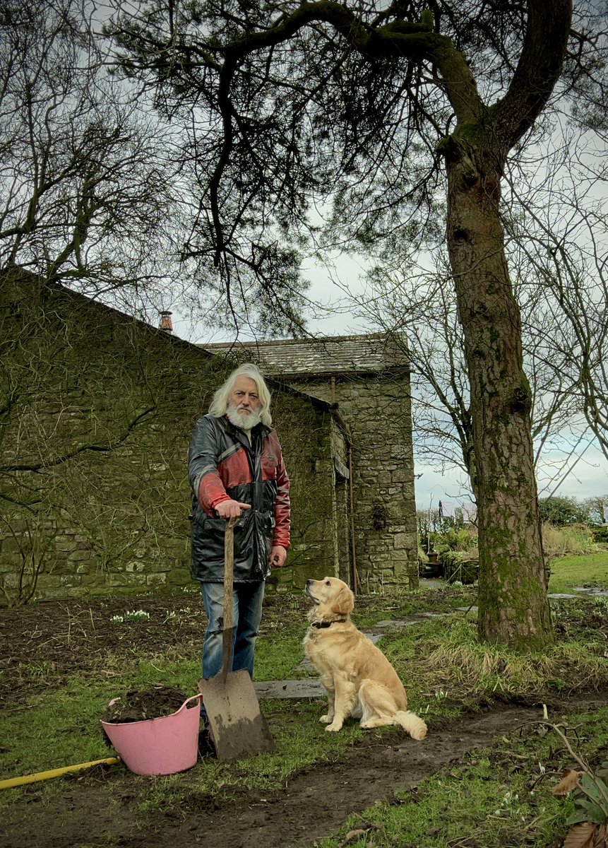 Vegetable Man tweet media