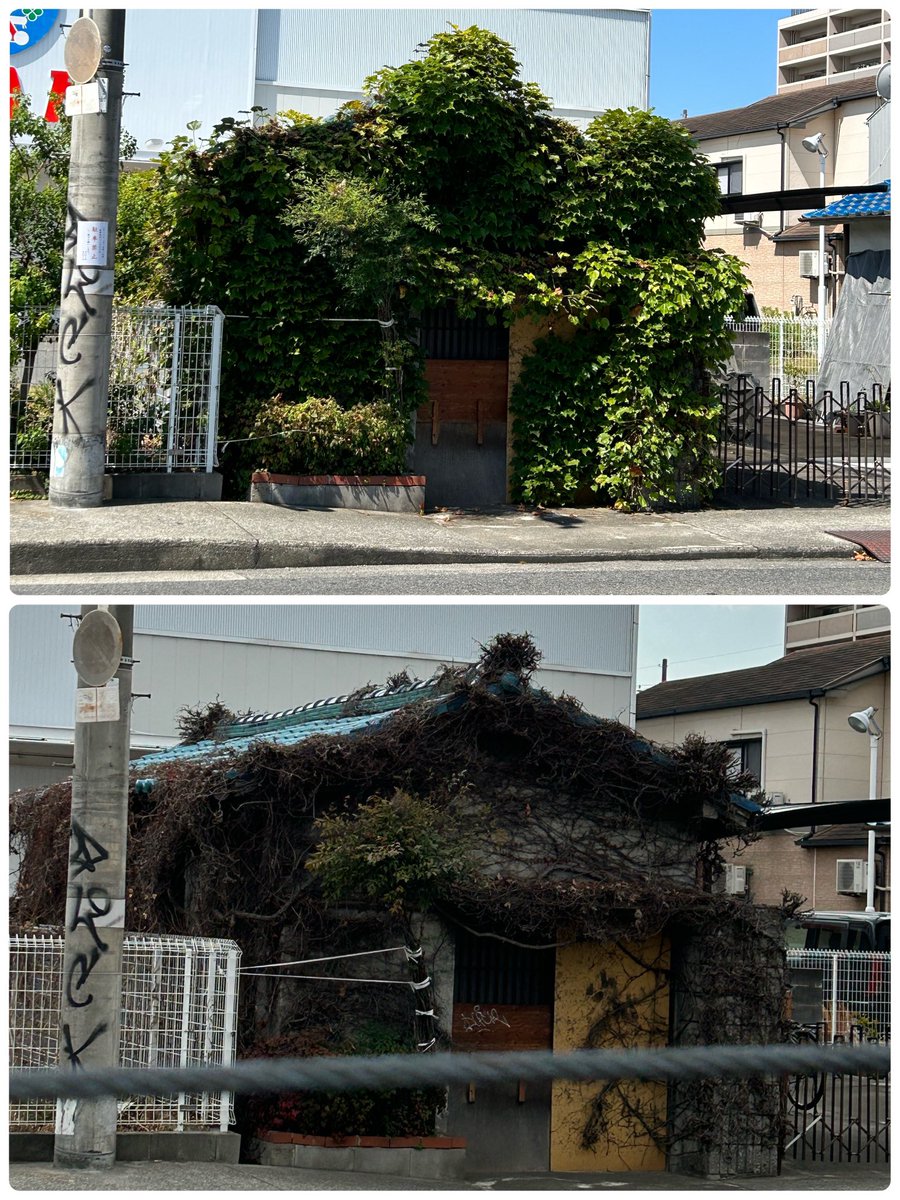 いつもの場所😊
夏バージョン   冬バージョン
取り壊されるまで楽しませてもらってます