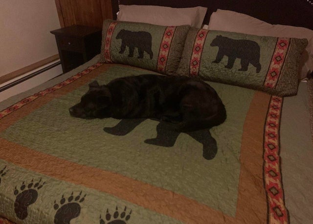 Grande (@sixrande) on Twitter photo 