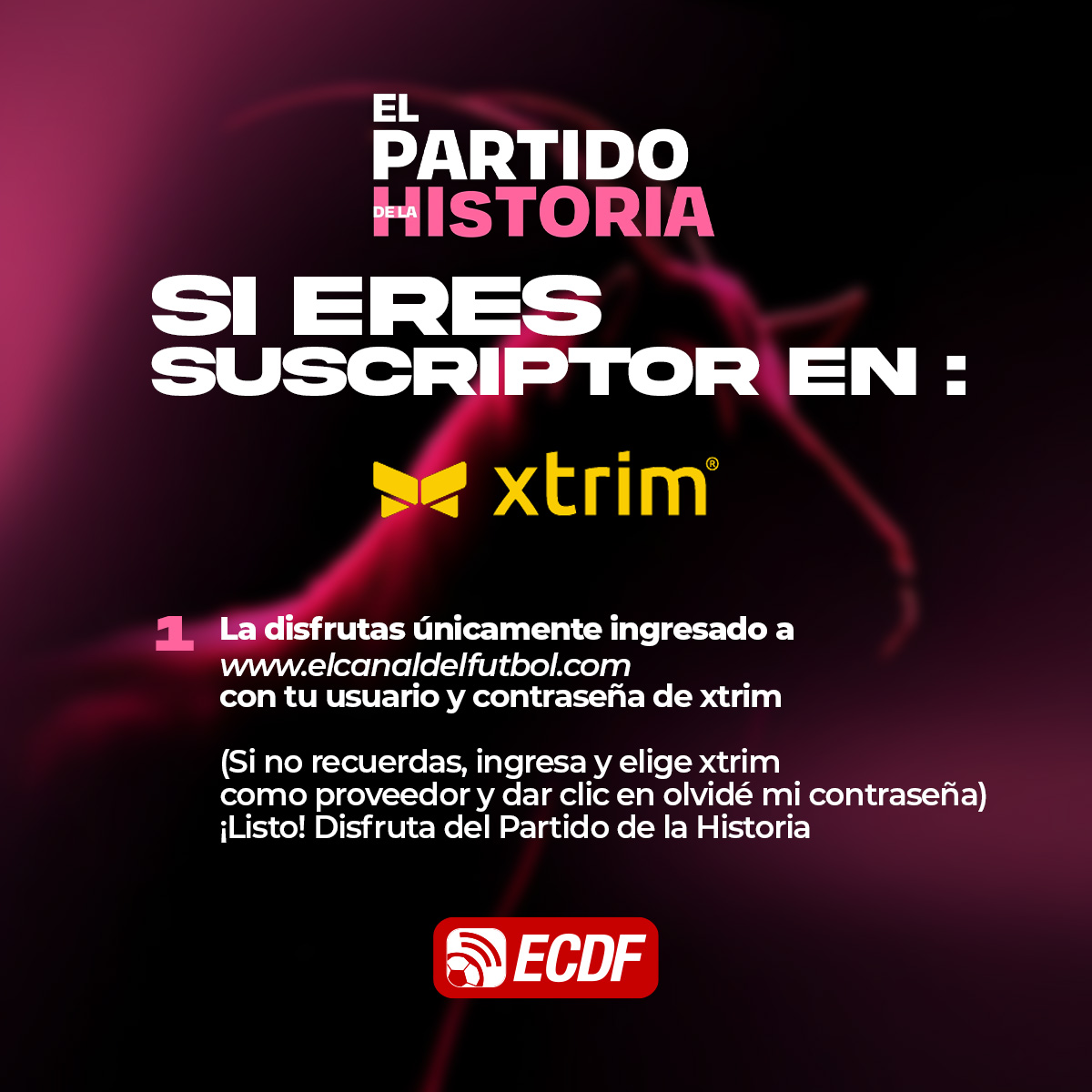 ®El Canal del Fútbol 🇪🇨⚽ tweet media