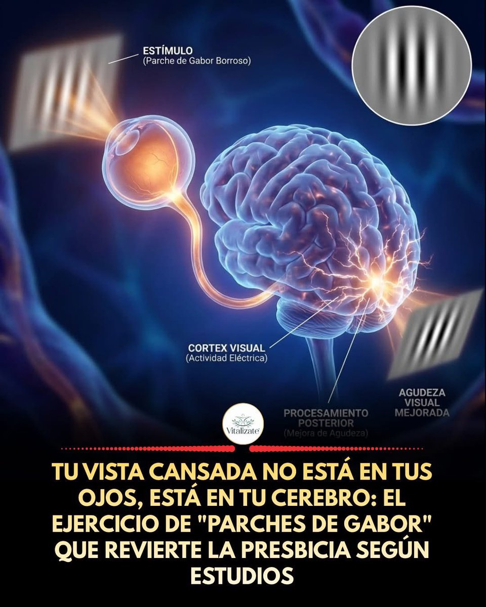NO VES CON LOS OJOS, VES CON LA MENTE. 

A partir de los 40 años, casi todos sufren de Presbicia (vista cansada). 

La lente del ojo se vuelve rígida y le cuesta enfocar de cerca. La solución tradicional son las gafas de lectura. 

Pero las gafas son una "muleta"; al hacer el