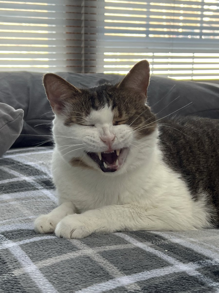 What I look like when I’m asked to smile for pictures… 😬