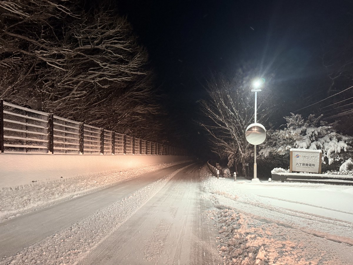 定期便】 ・2月8日(日) 天気🌨▷積雪150cm(新雪10cm) ・気温-10℃(早朝6