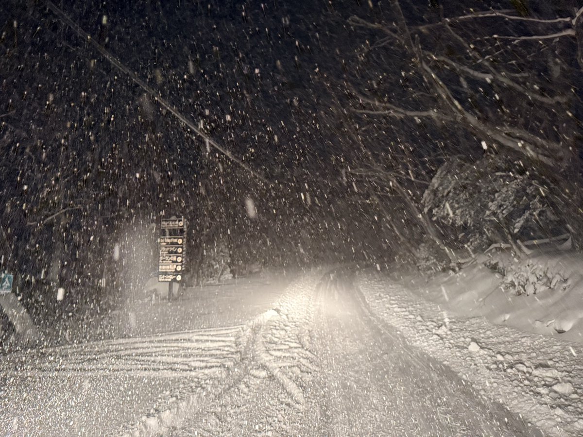 定期便】 ・2月8日(日) 天気🌨▷積雪150cm(新雪10cm) ・気温-10℃(早朝6