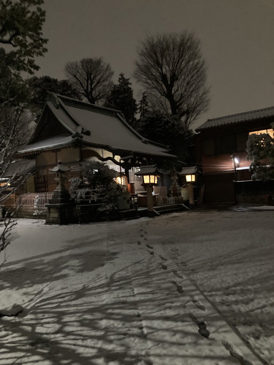 近所の神社も雪化粧⛄️