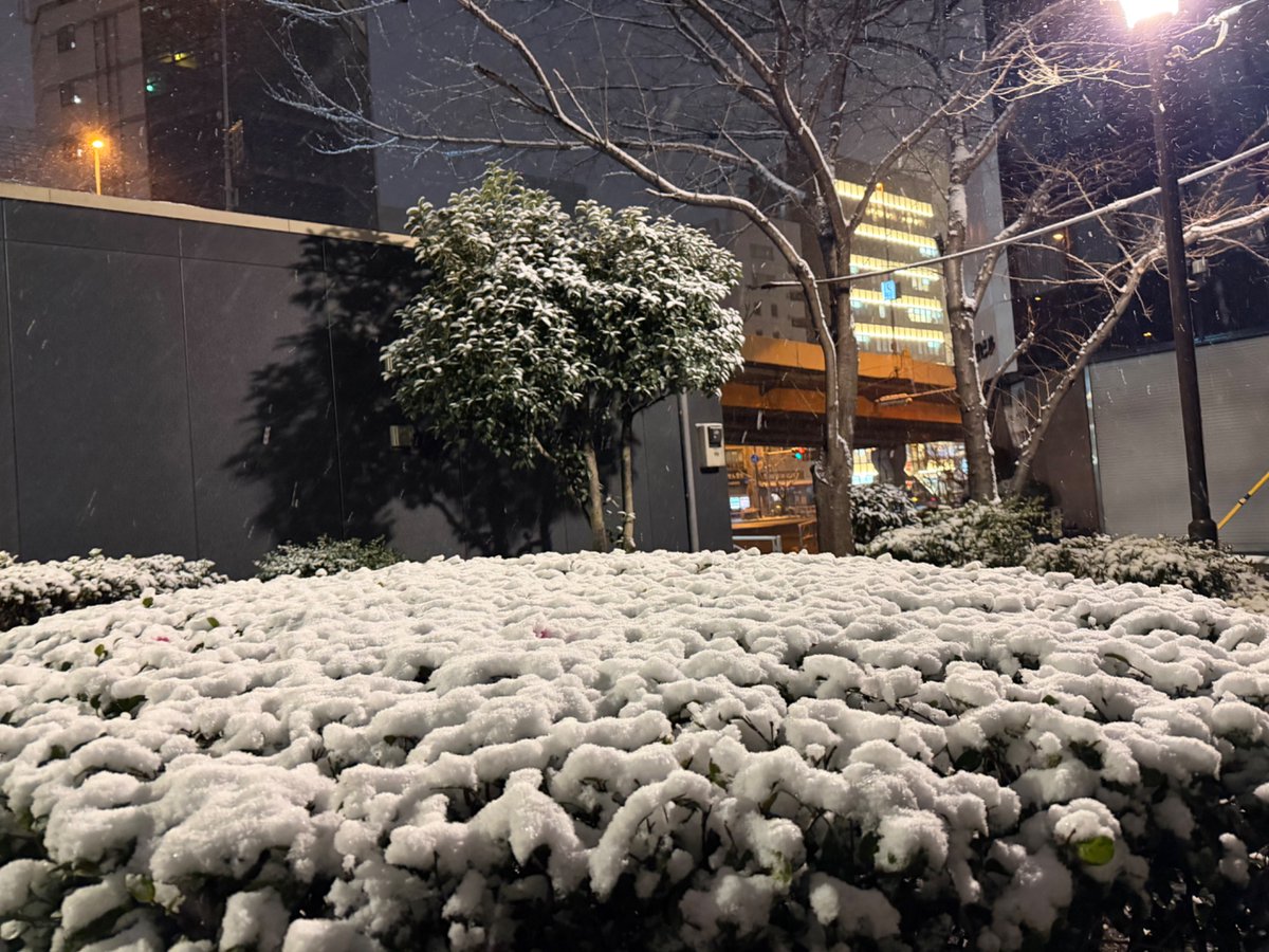Phat_stuff's tweet image. 今日はいよいよワンフェス当日！
今回もなんとかなるはずだ！

雪だと！？(最後の最後の準備に出社中)