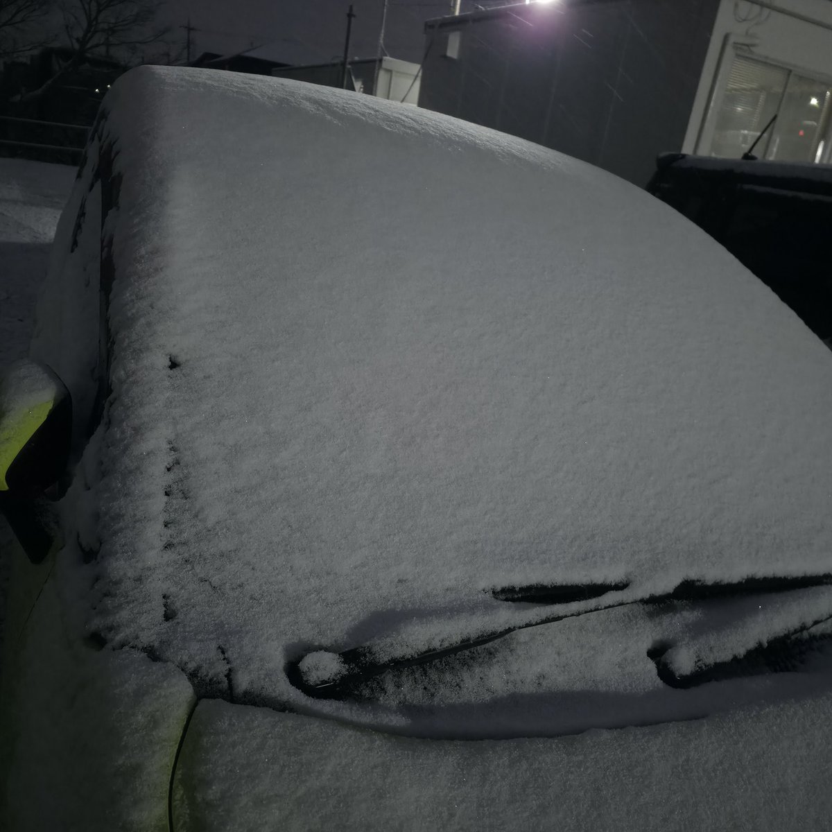 真っ白❄❄❄❄❄
 #雪  #つもった