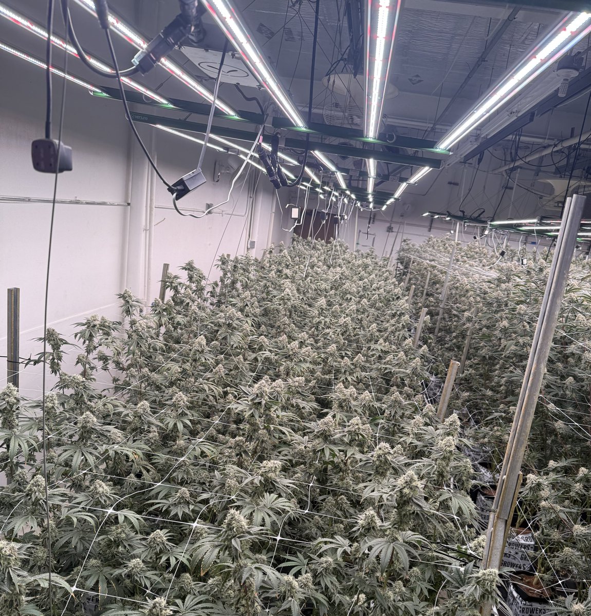 CodySmokes's tweet photo. Appreciate bro letting me come tour the facility🤘🏼 https://t.co/WhJG55A716