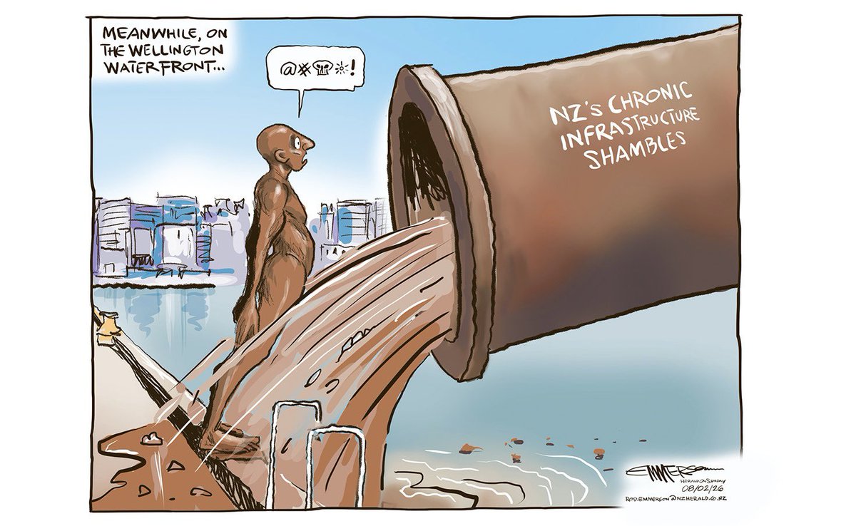 Mountain_Tui tweet media