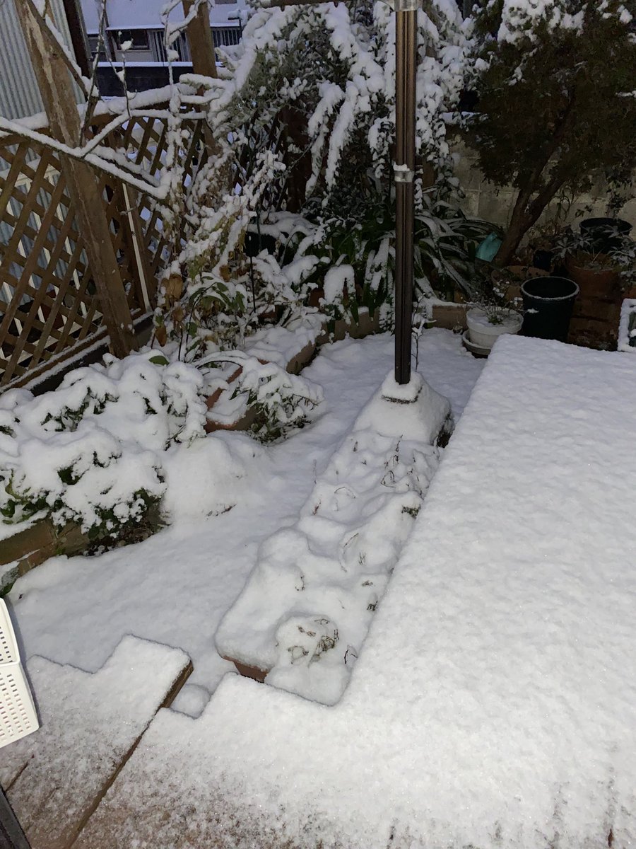 お久しぶりです。
衆院選投票日
関東も❄️化粧
