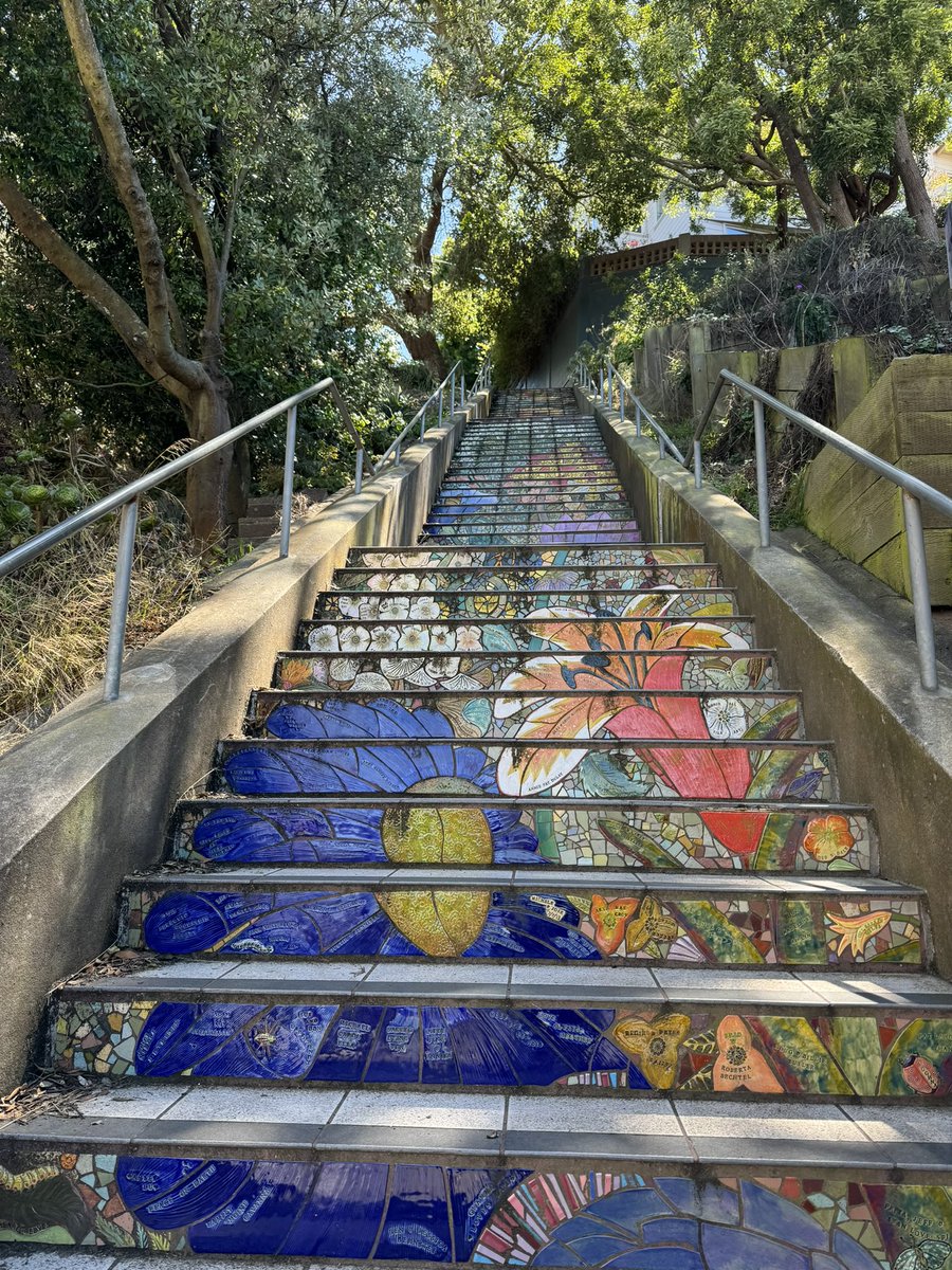 Elliot Hershberg tweet media