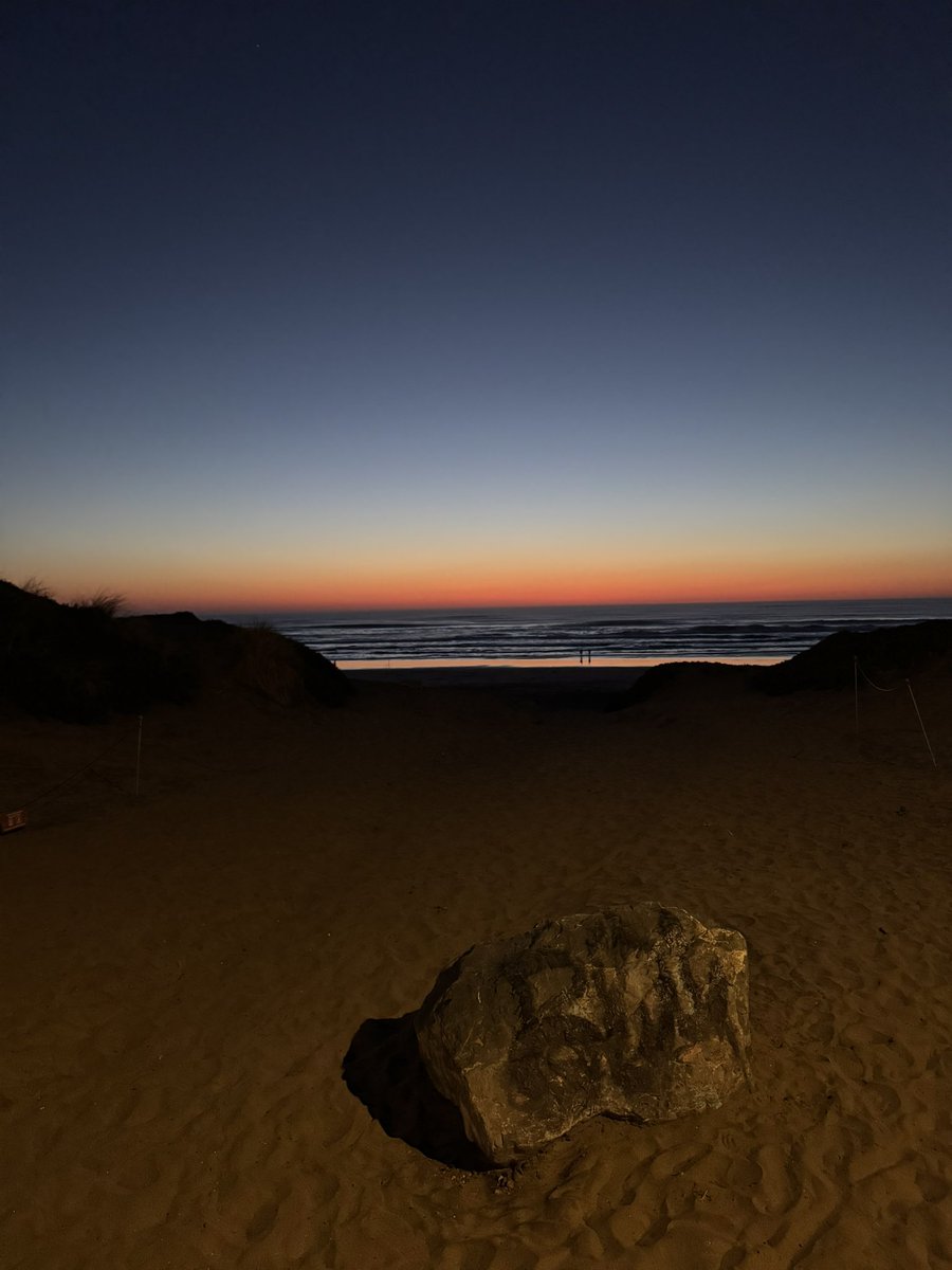 Elliot Hershberg tweet media