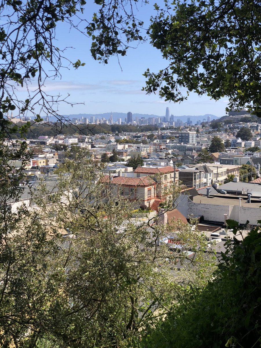 Elliot Hershberg tweet media