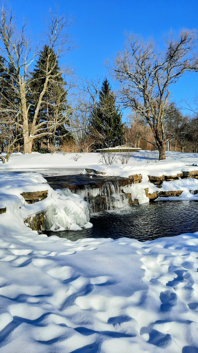 Rodney Wilson tweet media