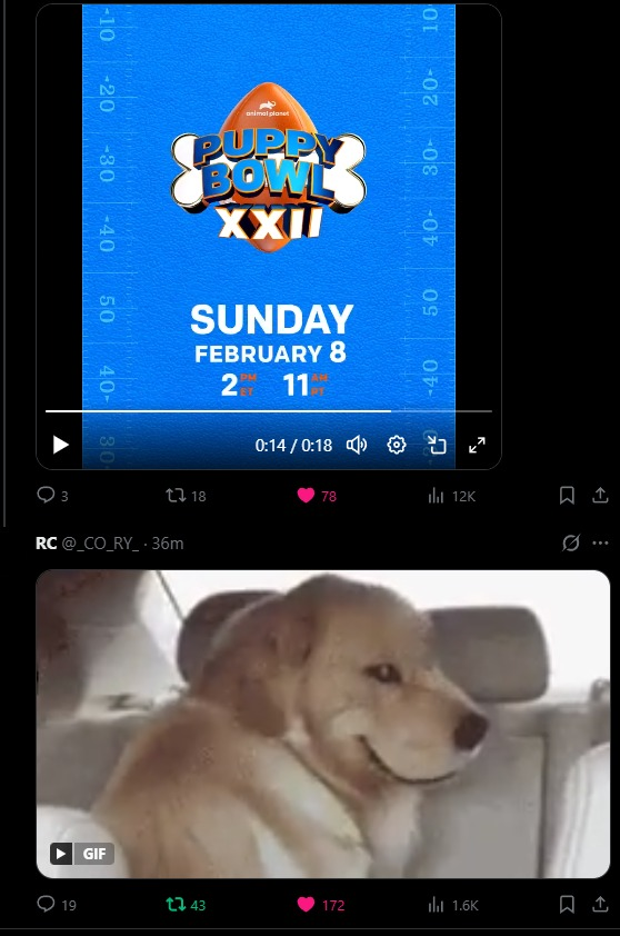 Barking Angel tweet media