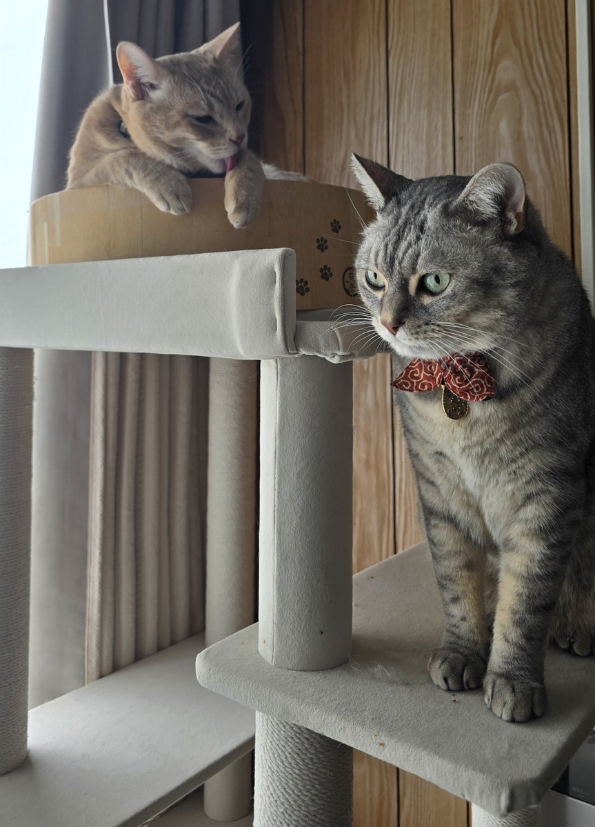 麦パパ (@mugimugi_222) / Posts / X