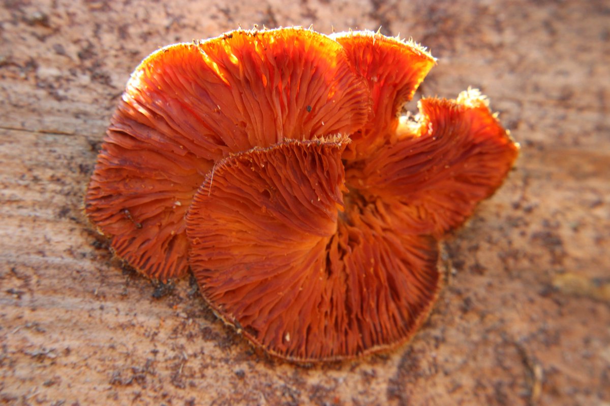 yasmini ⋆ ᶻ 𝗓 𐰁 tweet media