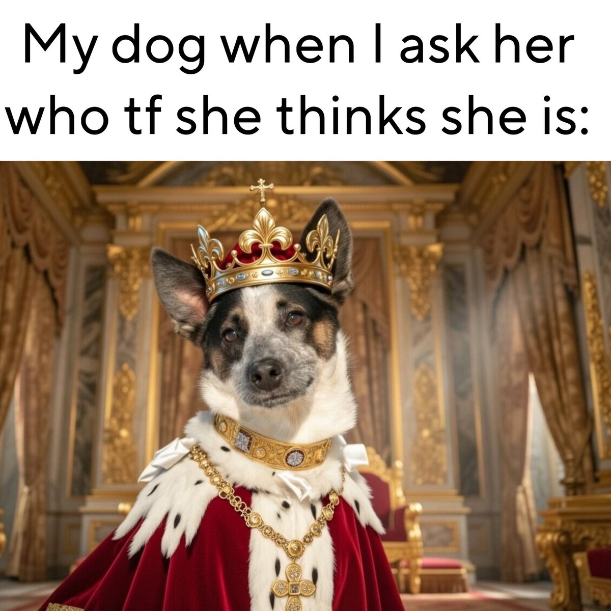 Little Wolf 🇺🇸 tweet media