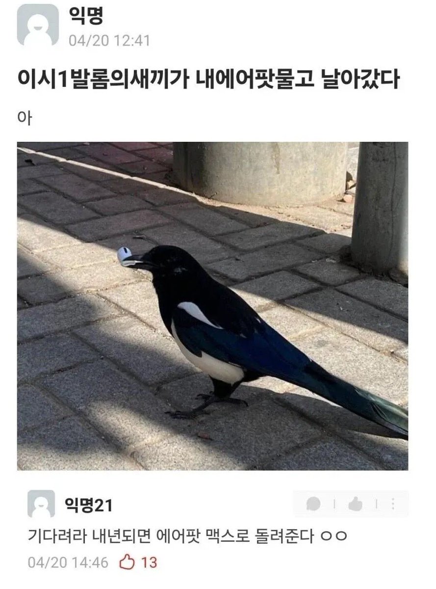 ssnono_man's tweet image. 은혜 갚을 까치라는데…

조난 방지용으로 
선을 연결해야 하나..🤣🤣