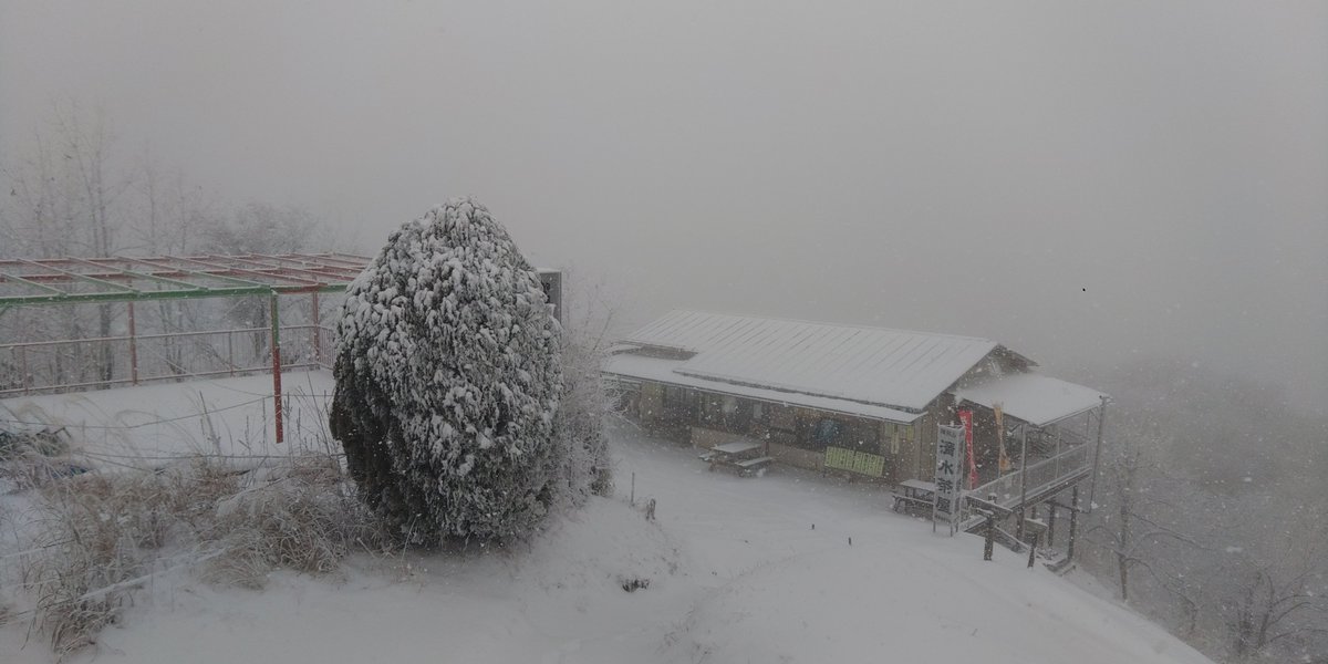 陣馬山とうちゃく！
雪でまっしろですのー
