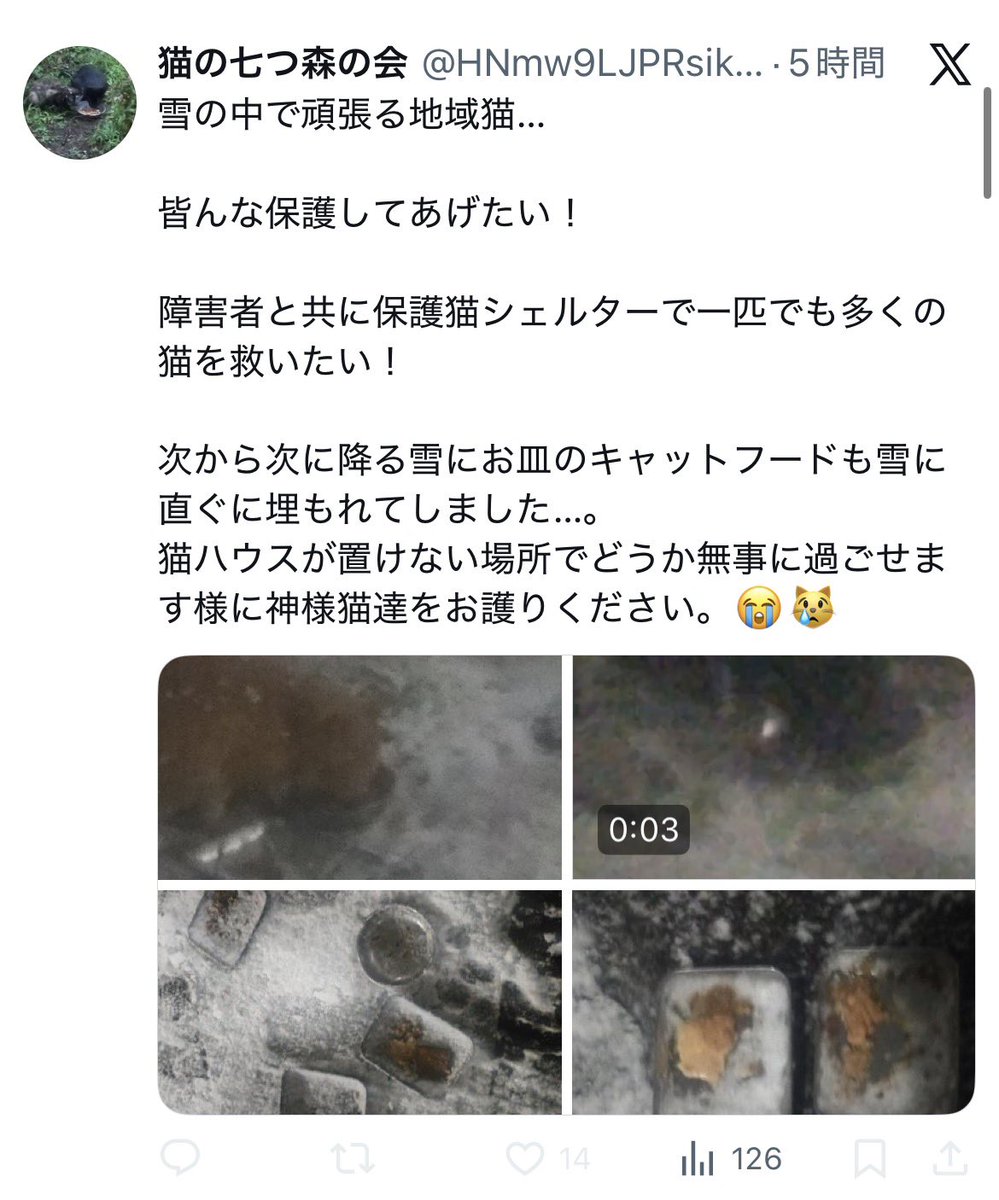 や。シェルターを広くしたら保護しますって言って1匹も保護していないし🤔
この状況に猫たちを追いやったのは猫の七つ森の会代表ですよね？
シェルターが広ければ保護できるのに…！（レディーフォーCF時）←なんで保護していないんですか？#猫の七つ森の会
