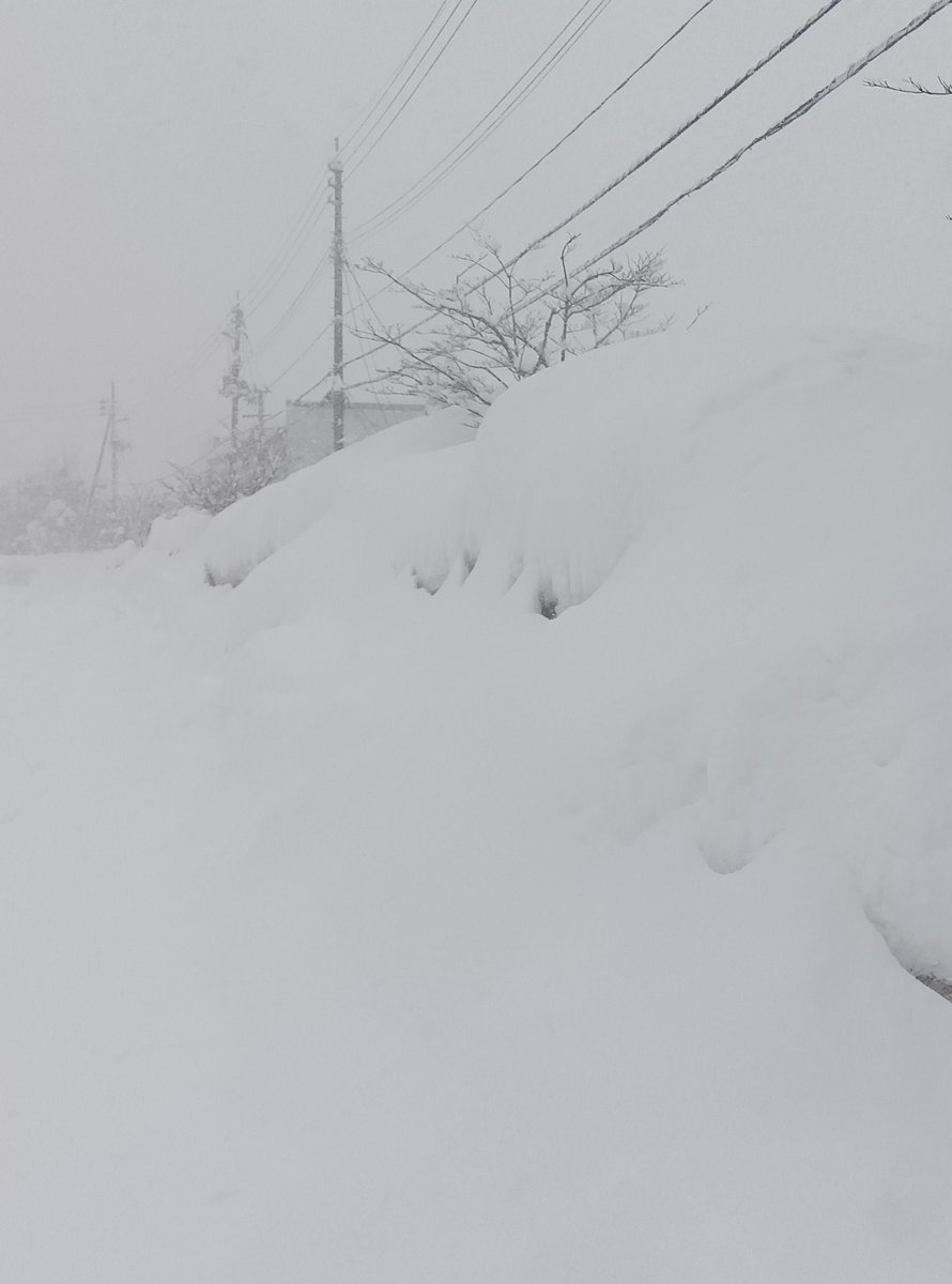 keibi_joetsu's tweet photo. 上越市、現在の雪の降り方をどう伝えようかと思いましたが、こんなです。
本日もご安全に! https://t.co/qqzBQwgXRL