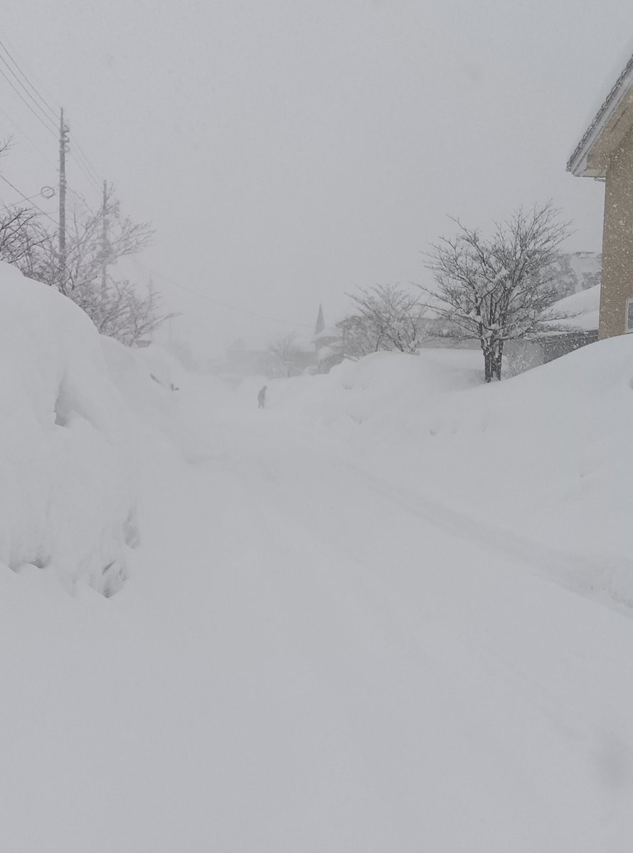 keibi_joetsu's tweet photo. 上越市、現在の雪の降り方をどう伝えようかと思いましたが、こんなです。
本日もご安全に! https://t.co/qqzBQwgXRL