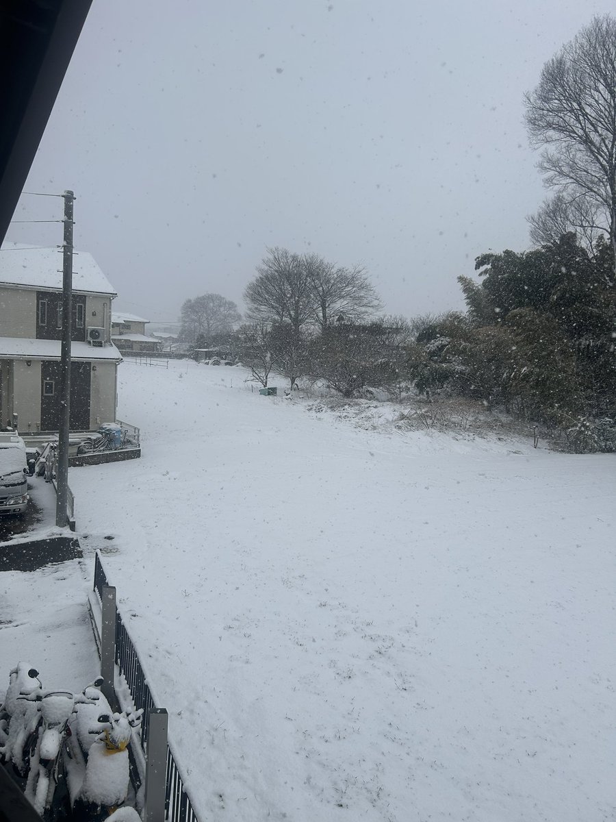 おお、見事な雪景色。
昨日慌ててスタッドレスに履き替えさせておいて良かったわー。