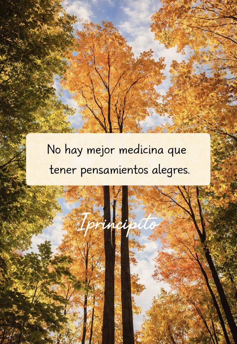 iPrincipito's tweet photo. 📩✨ https://t.co/TJaAwIgjIh