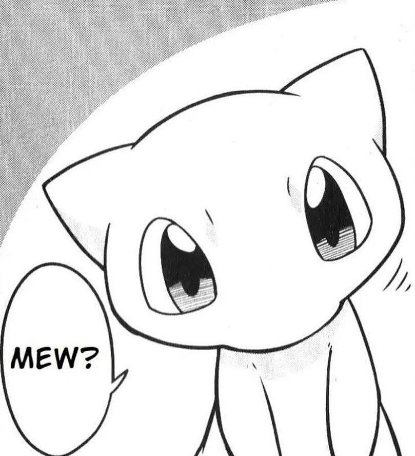 Pokémon Daily (@pokemon_dailyy) on Twitter photo 