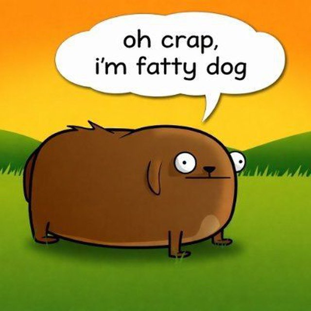 <a href="/Traderfinn0/">FINNT</a> $FATTY is now live on Base

0x37d1dE315e7641c8126C2D61d9c84EB83eb7A7ee