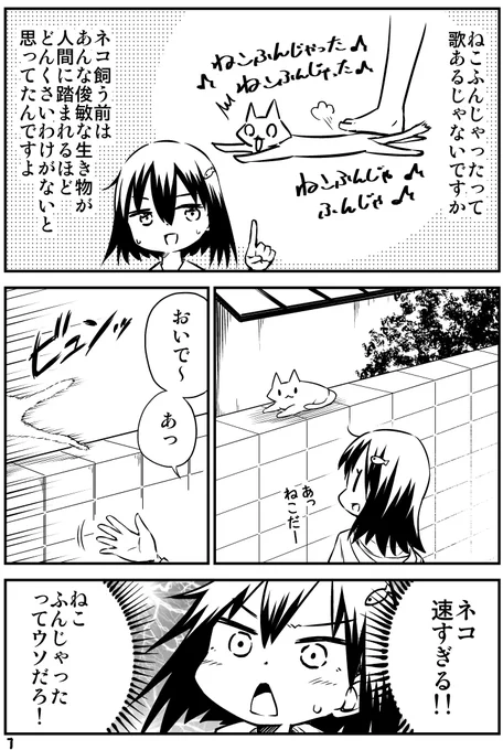 飼い猫って足元に滑り込んで来るのなんでなん?(1/2) 